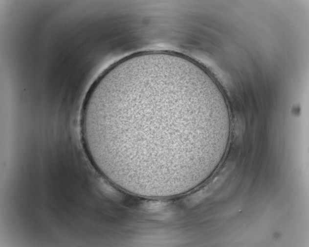 X0000102351278200808151742