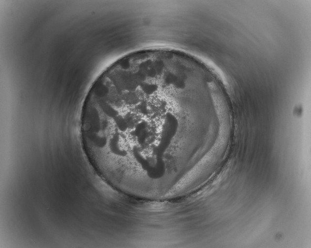 X0000102351279200808151742