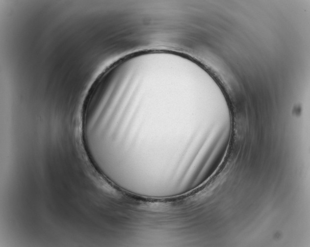 X0000102351280200808151742