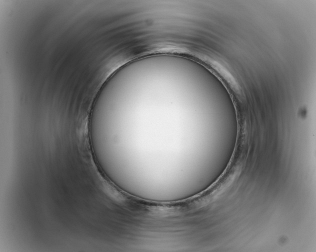 X0000102351281200808151742