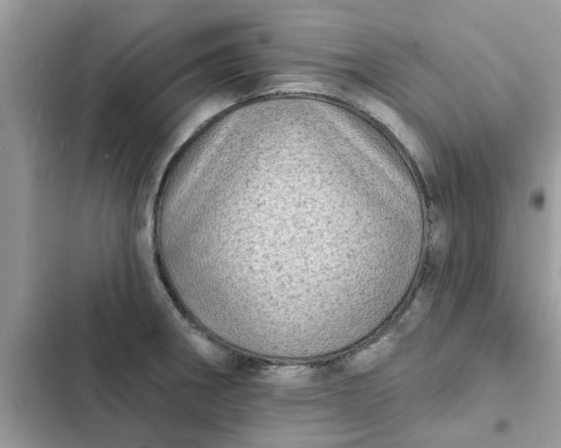 X0000102351282200808151742