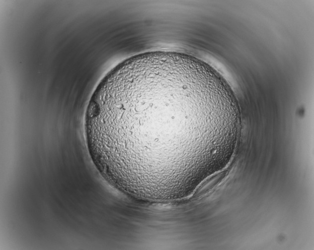 X0000102351283200808151742