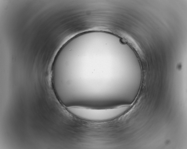 X0000102351284200808151742