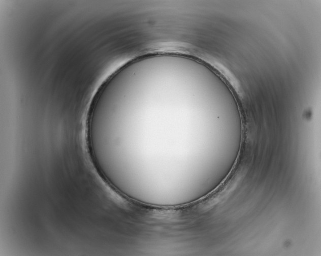 X0000102351285200808151742