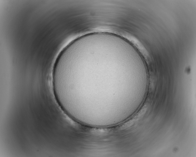 X0000102351286200808151742