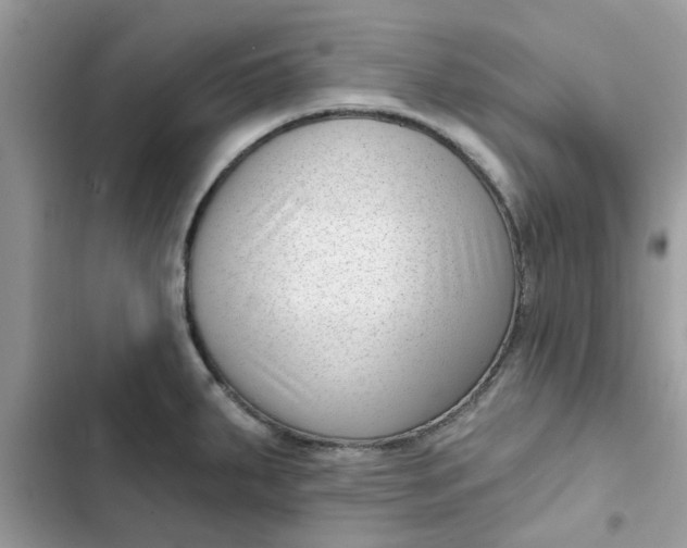 X0000102351287200808151742