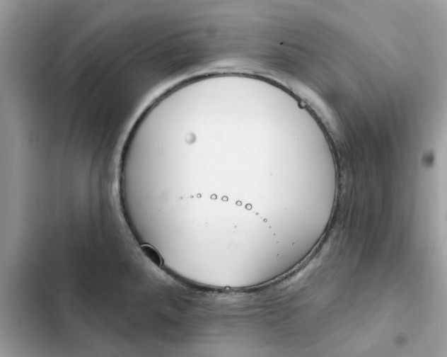 X0000102351288200808151742