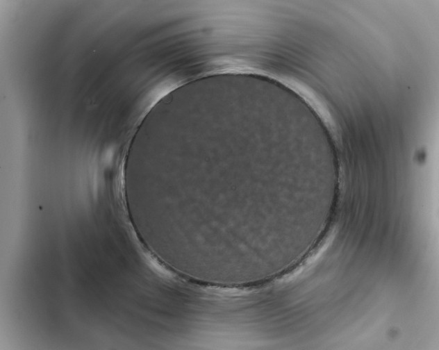 X0000102351289200808151742