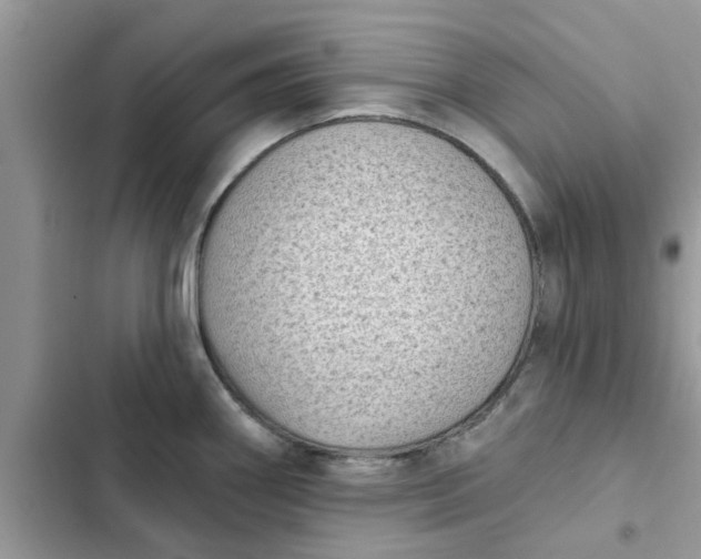 X0000102351290200808151742