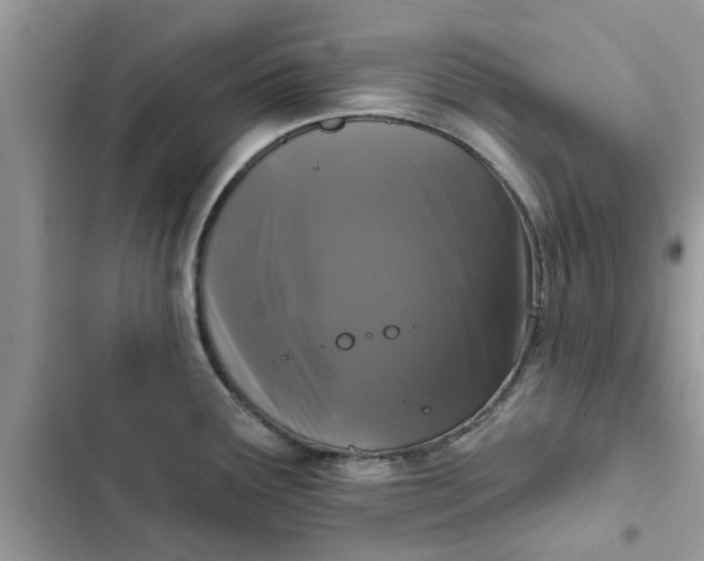 X0000102351291200808151742