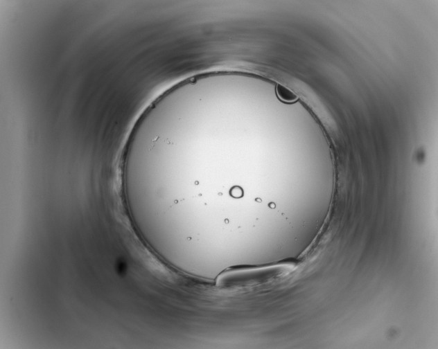 X0000102351292200808151742