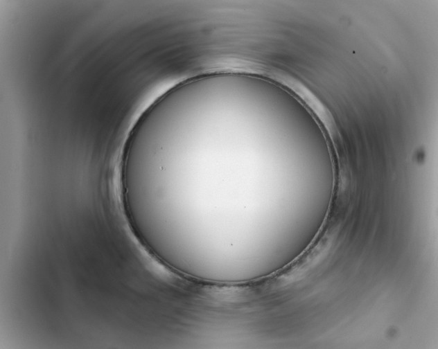 X0000102351293200808151742