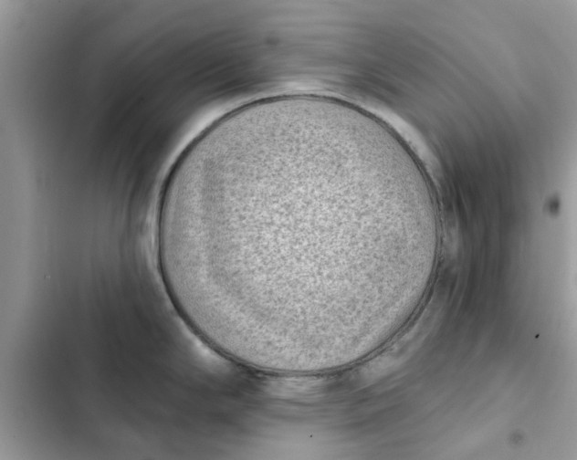 X0000102351294200808151742