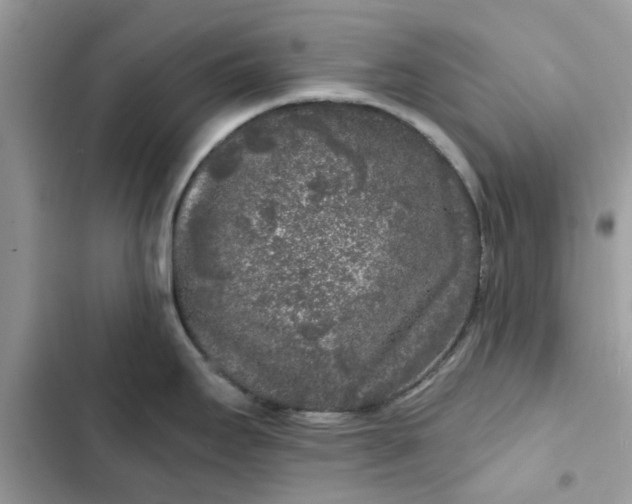 X0000102351295200808151742