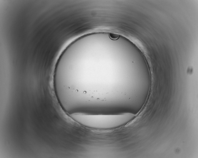 X0000102351296200808151742