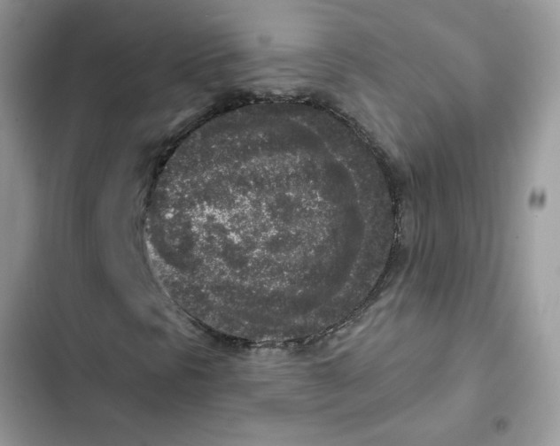 X0000102351297200808151741