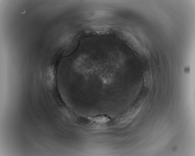 X0000102351298200808151741