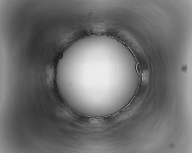 X0000102351299200808151741