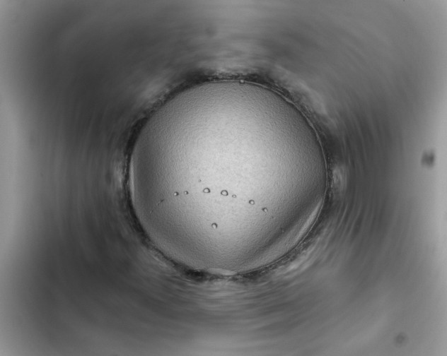 X0000102351300200808151741