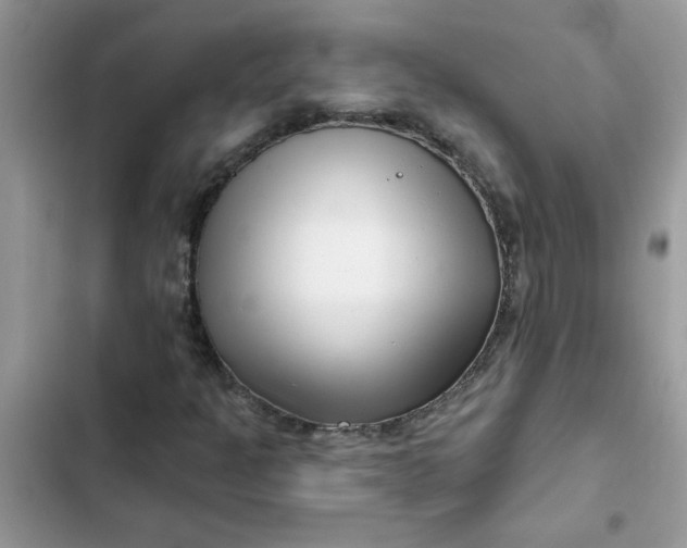 X0000102351301200808151741