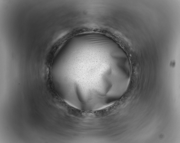 X0000102351302200808151741