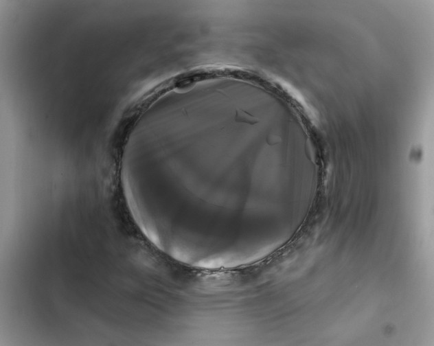 X0000102351303200808151741