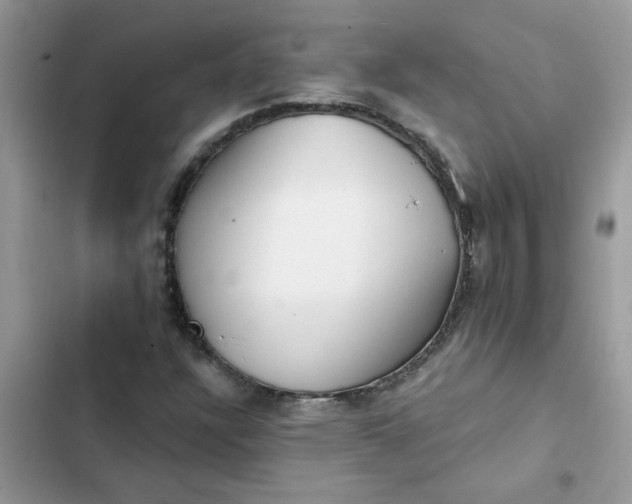 X0000102351304200808151741