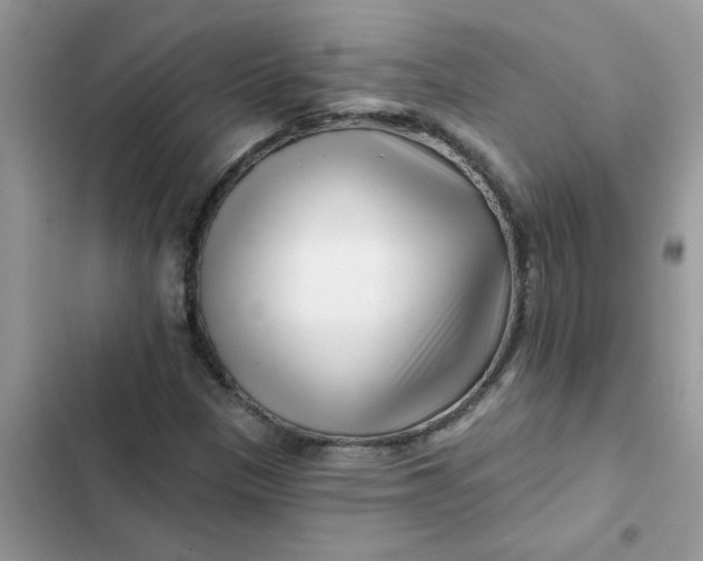 X0000102351305200808151741