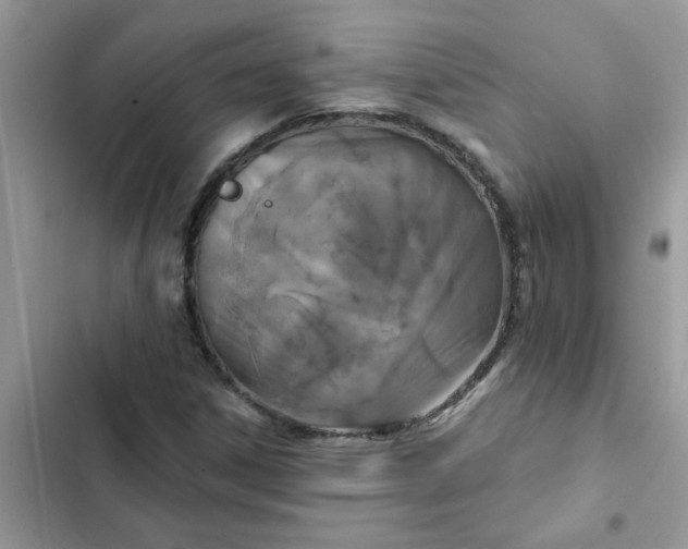 X0000102351306200808151741