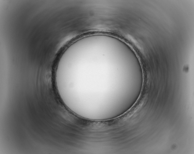 X0000102351307200808151741