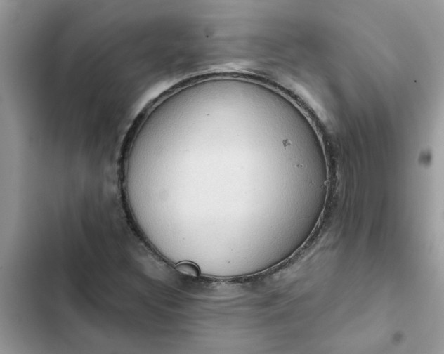 X0000102351308200808151741