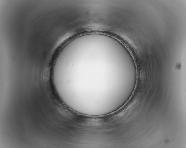 X0000102351309200808151741