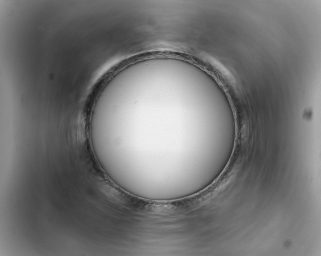 X0000102351310200808151741