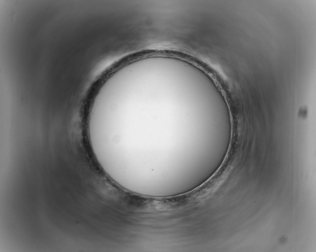 X0000102351311200808151741