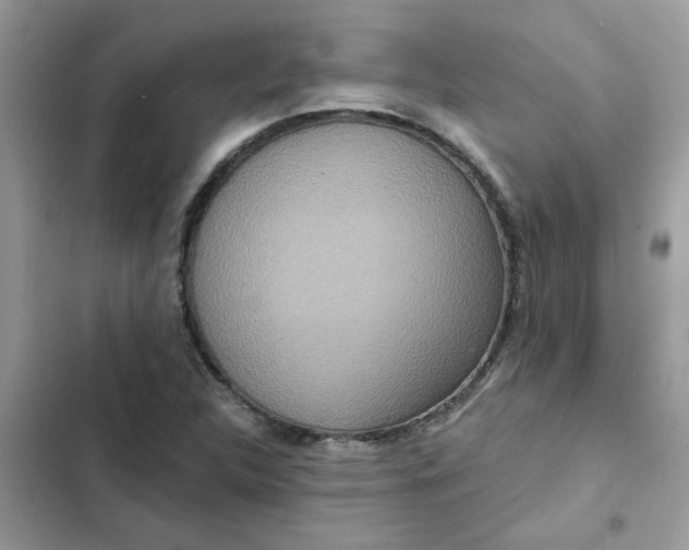 X0000102351312200808151741