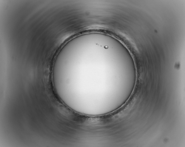 X0000102351313200808151741