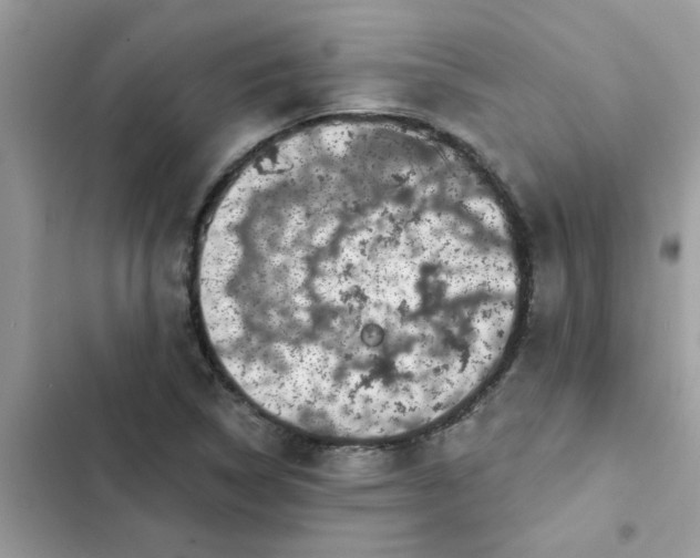 X0000102351314200808151741