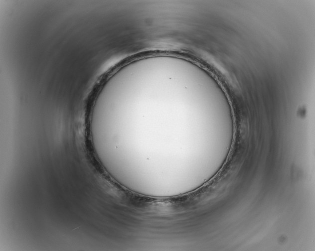 X0000102351315200808151741