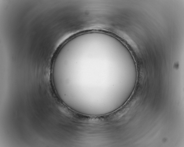 X0000102351316200808151741