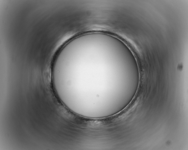 X0000102351317200808151741