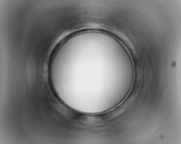 X0000102351318200808151741