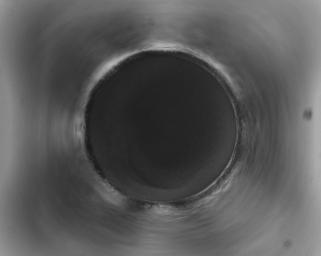 X0000102351319200808151741