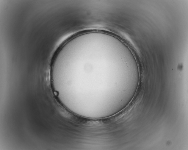 X0000102351320200808151741