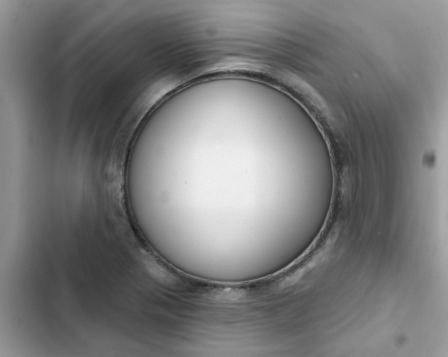 X0000102351321200808151741