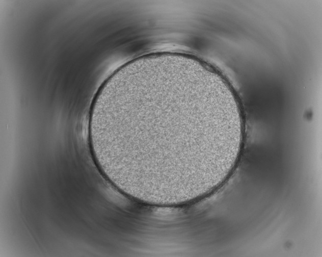 X0000102351322200808151741