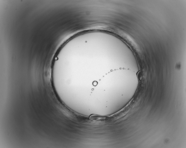 X0000102351324200808151741