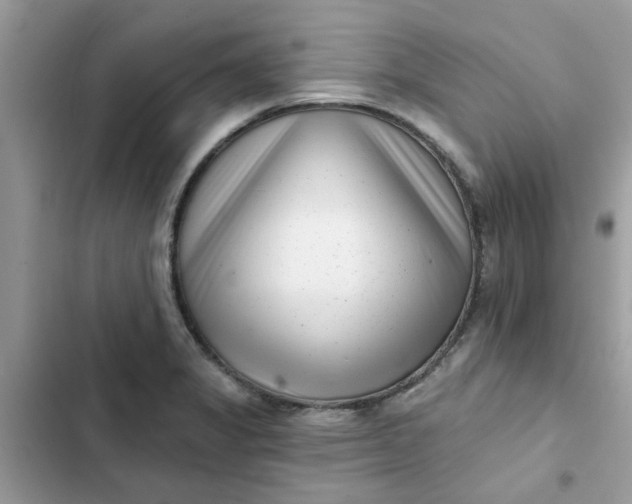 X0000102351325200808151741