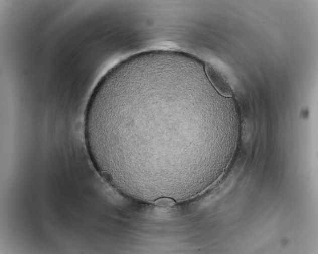 X0000102351326200808151741