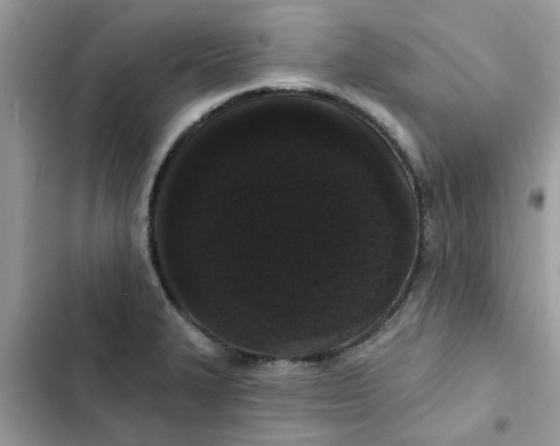 X0000102351327200808151741