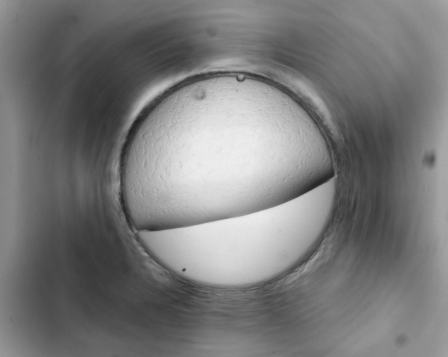 X0000102351328200808151741